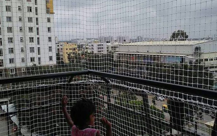 Pigeon Netting Services