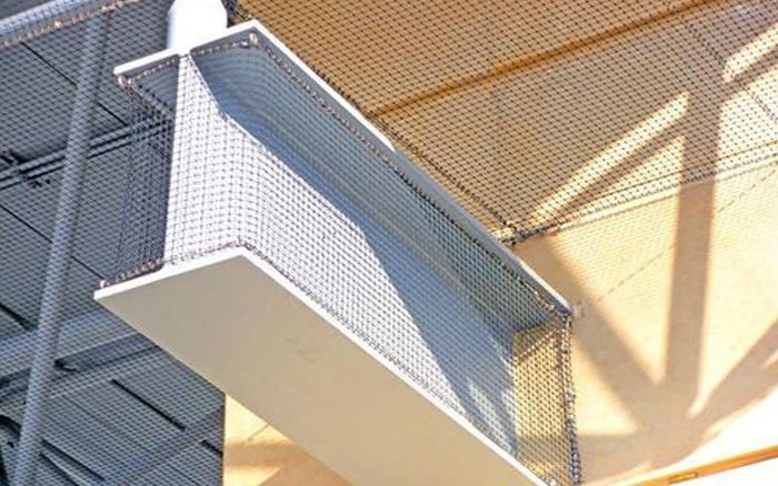 Bird Control Services